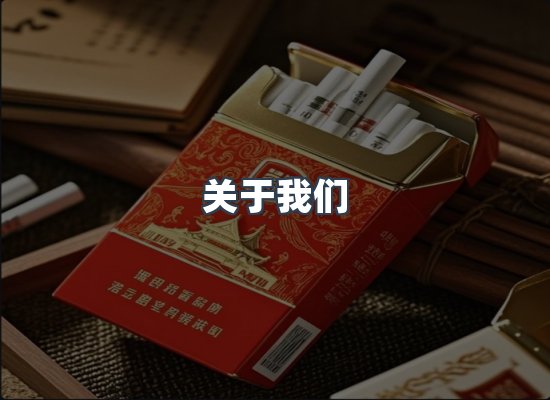 专业团队